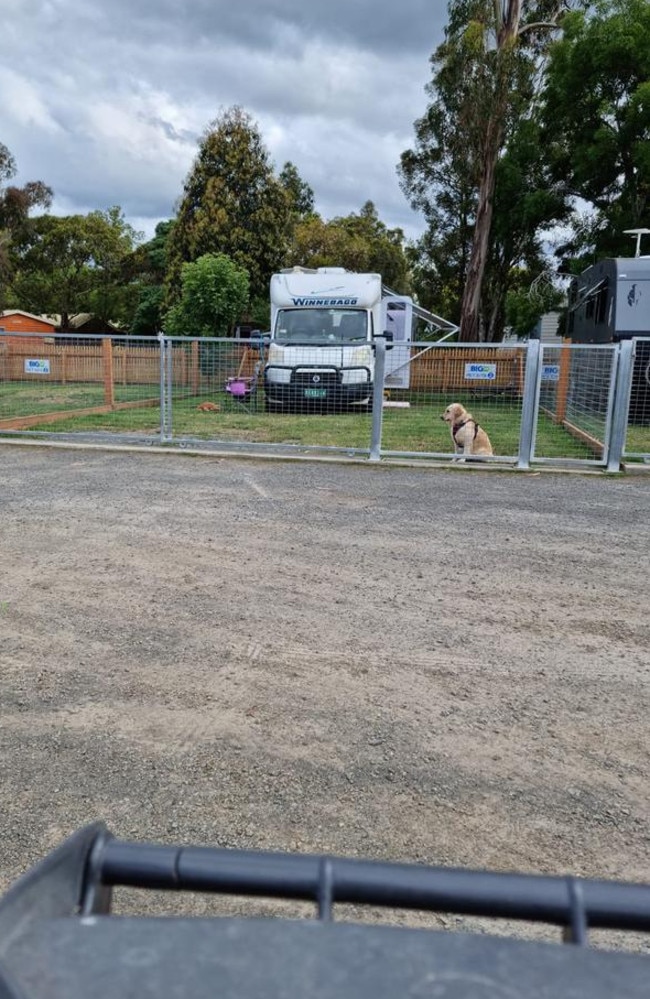 Australians recently went nuts over this dog enclosure at a Victorian caravan park. Picture: Facebook