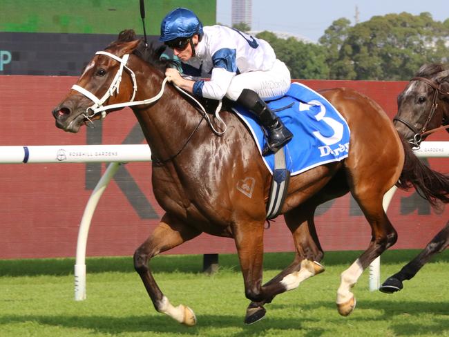 Shayne O’Cass’ Rosehill Saturday tips, race-by-race analysis