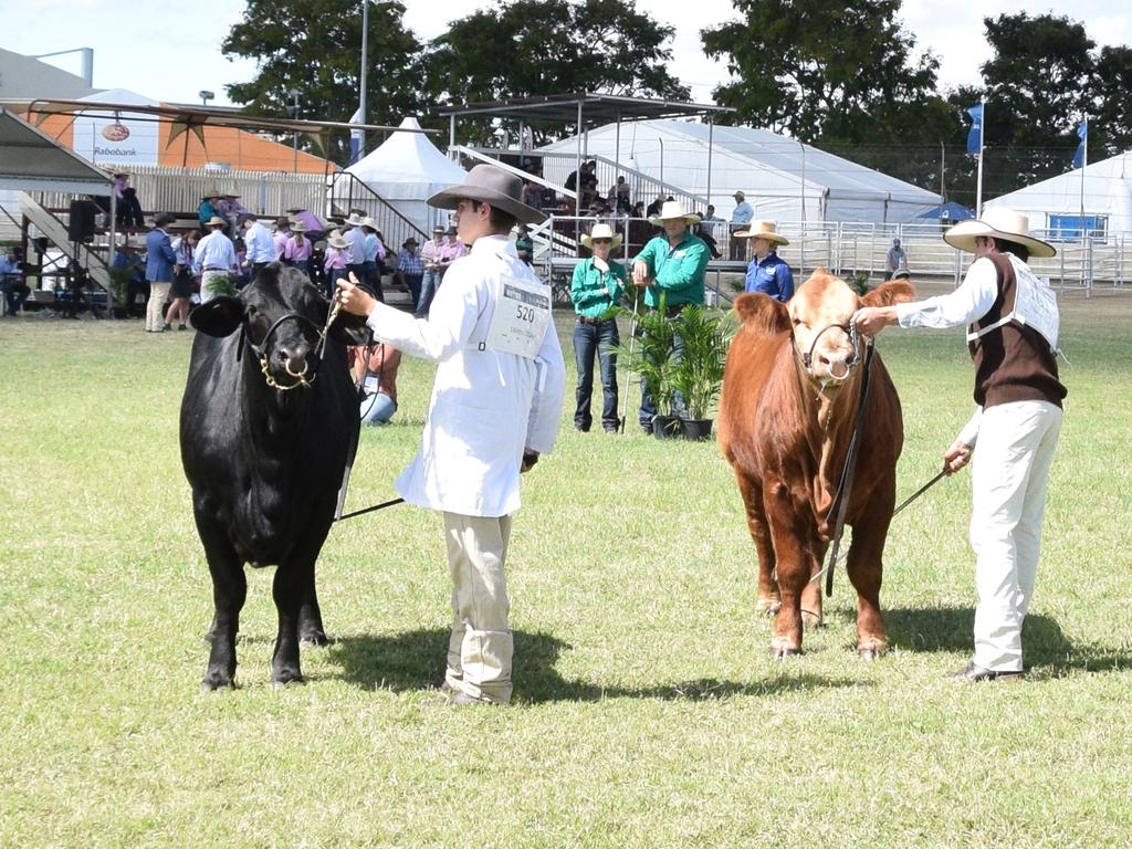 rgs-cattle-show-team-members-take-out-age-champion-first-day-of-beef