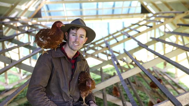 Xavier Prime runs Chooks at the Rooke, with 2000 free range birds. Picture: Andy Rogers