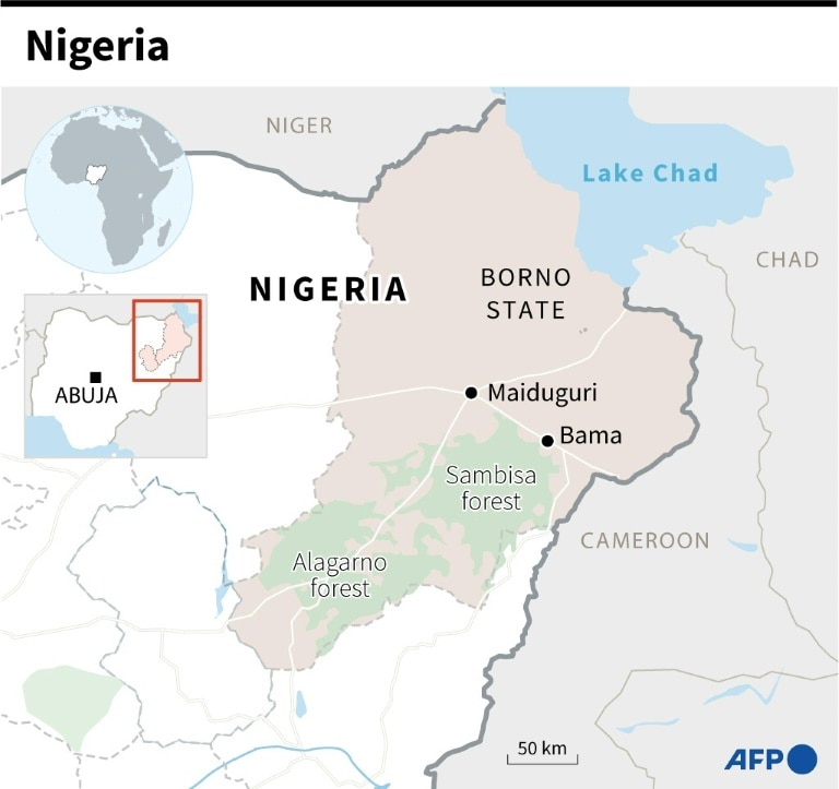 Jihadists kill at least 40 farmers in northeast Nigeria