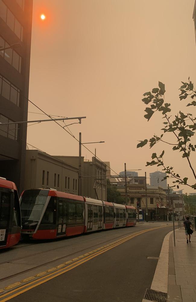 Sydney's new red trams and Sydney's new red sun. Picture: Benedict Brook.