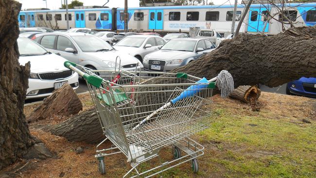 Trolleys discarded around Mentone and Cheltenham.