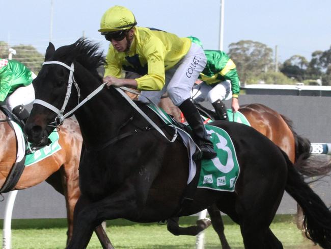 Tony Be scored a good win over the Rosehill 1800m last start and looks tough to beat again. Picture: Grant Guy