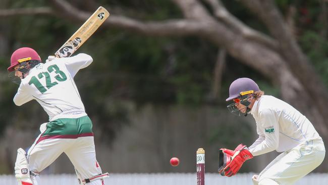 Premier Grade Men's club cricket action at Souths between Souths and the Gold Coast. Souths v GC - Connor McMillian and Lachlan Atkin Picture Stephen Archer
