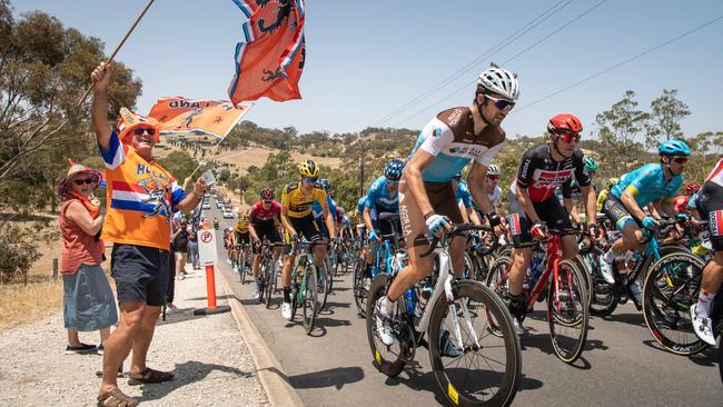 Riders at Tanunda during stage one of the Tour Down Under 2020. Picture: Brad Fleet