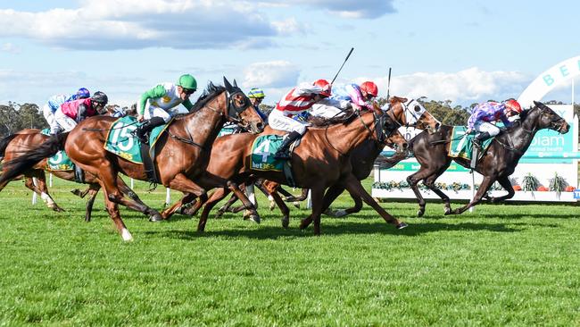 Next week’s Bendigo Cup is on track to be run. Photo: Racing Photos via Getty Images.