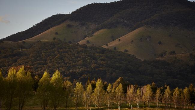 Mudgee, NSW. Picture: WISH/Nick Cubbin