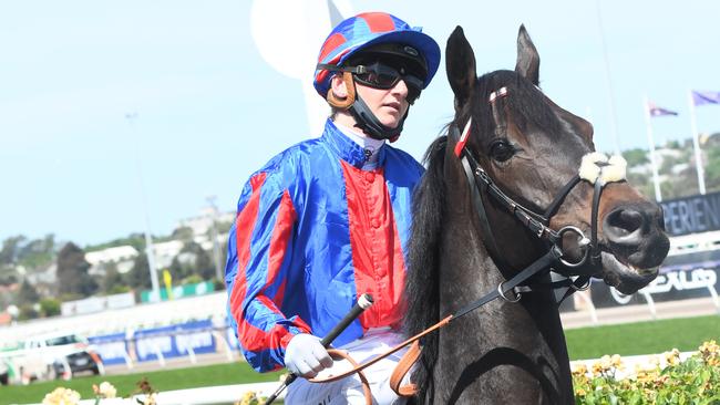 Prince Of Arran ran a slashing third in the Melbourne Cup last year with Jamie Kah in the saddle. Picture: Vince Caligiuri