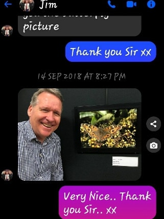 Queensland Labor MP Jim Madden allegedly bought a butterfly picture from a charity auction using taxpayer funds, to give to his then-girlfriend Sarah Grist.