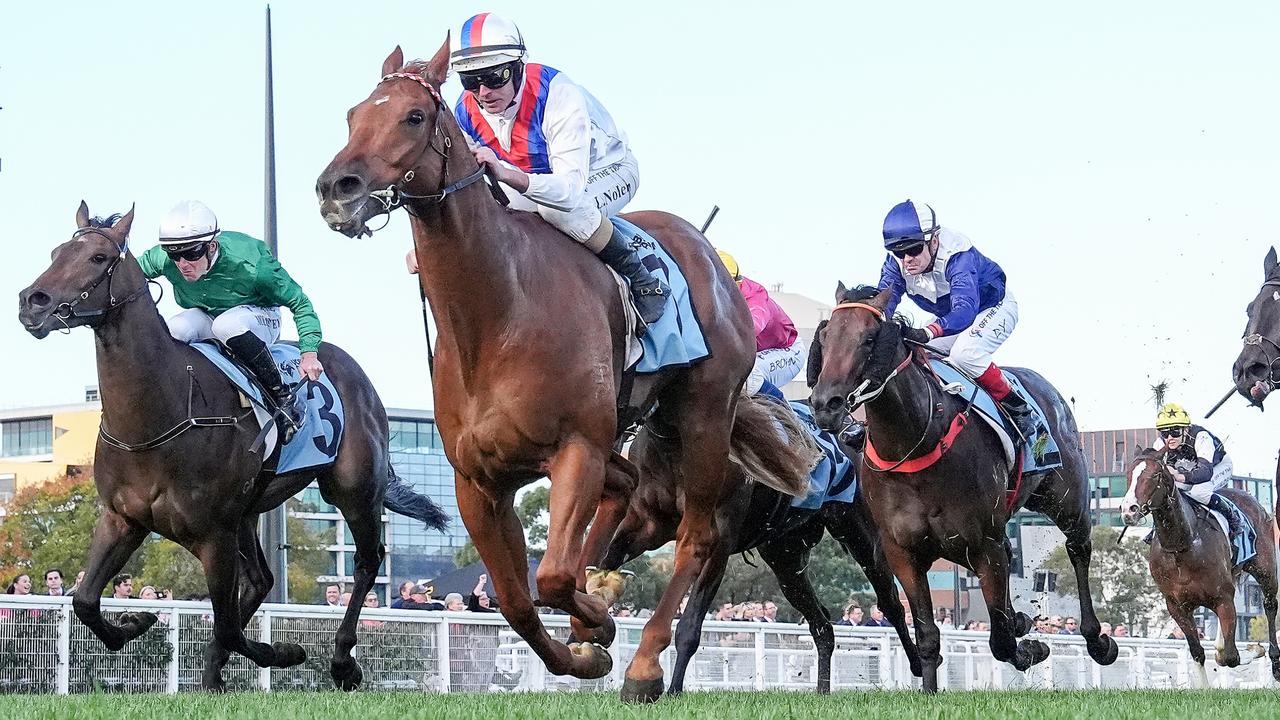 Exciting three-year-old Stanley Express will return in the first race of Friday night’s meeting at The Valley. Picture: Racing Photos