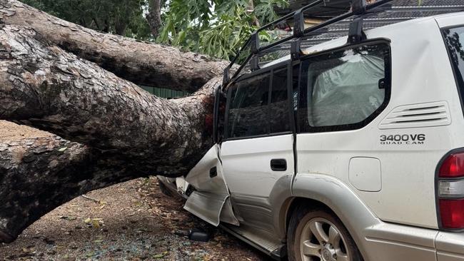 Wet ground and strong wind gust combined to fell trees easily, the Bureau said. Picture: Jo Hersey