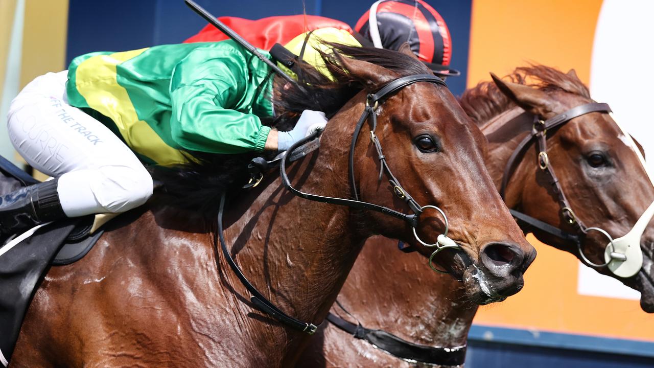 Caulfield Guineas day