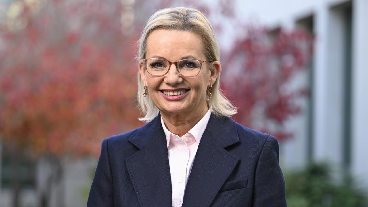 Sussan Ley’s position is far from assured