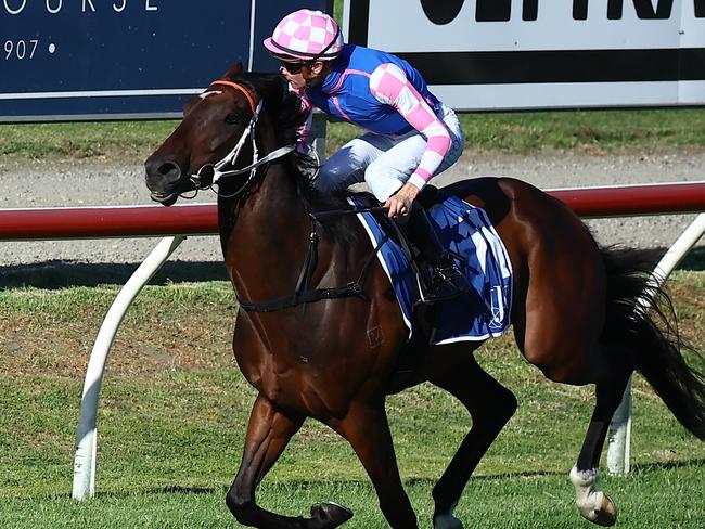 NEWCASTLE, AUSTRALIA - NOVEMBER 18: Dylan Gibbons riding Tavi Time wins Race 9 NZB Kurt Fearnley Legend Mile during Sydney Racing ( The Hunter ) at Newcastle Racecourse on November 18, 2023 in Newcastle, Australia. (Photo by Jeremy Ng/Getty Images)