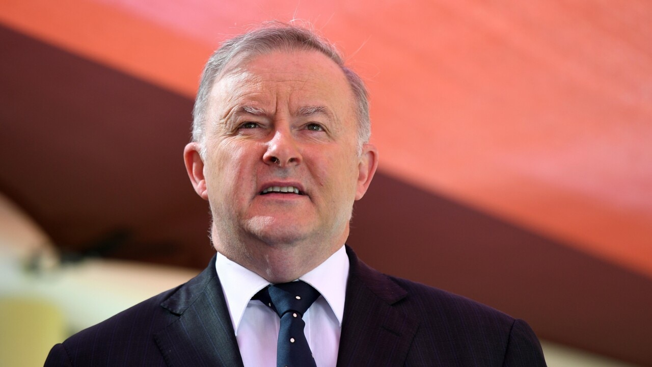 Albanese continues small target approach in budget reply