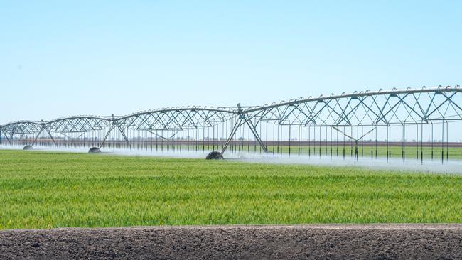 Substantial water entitlements are on offer as part of the Undabri and Yambocully Aggregation sale.