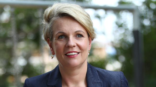 Deputy Leader of the Opposition Tanya Plibersek announced that Labor would impose caps on teaching degrees if universities do not adjust their intake model. Picture: Hollie Adams