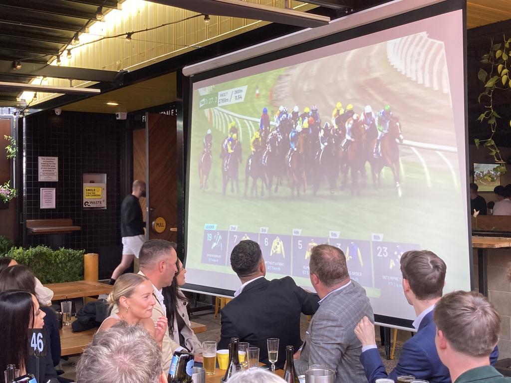 Melbourne Cup Canberra: punters at Hopscotch bar watching the race that stops the nation. Picture: Julia Kanapathippillai