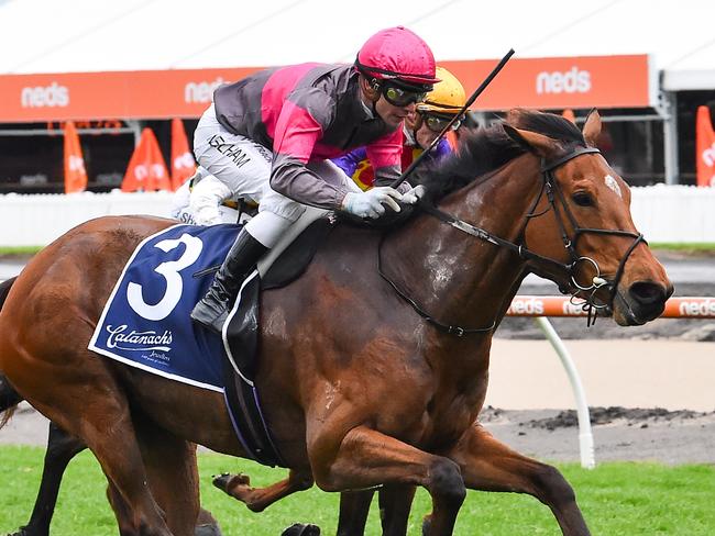 Sirileo Miss ridden by Ben Melham wins the Catanach's Jewellers Ladies' Day Vase at Caulfield Racecourse on October 12, 2022 in Caulfield, Australia. (Photo by Reg Ryan/Racing Photos via Getty Images)