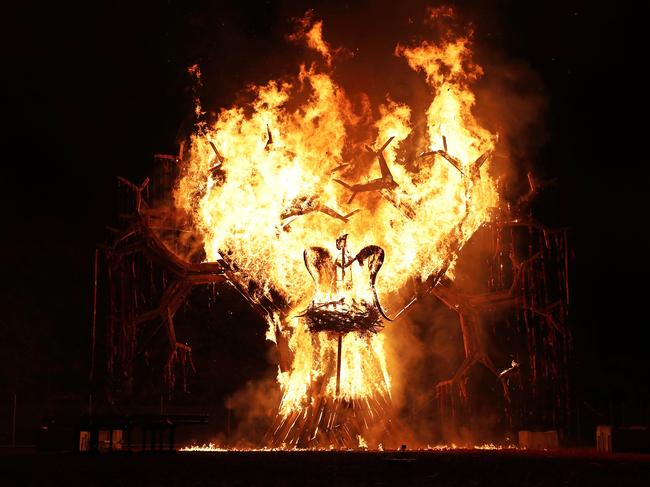 The swift parrot Ogoh Ogoh is burned at the finale of the 2019 Dark Mofo. Picture: LUKE BOWDEN