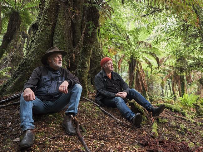 December 2024: Midnight Oil co-founding guitarist, keyboardist Jim Moginie and GoanaÃ¢â¬â¢s Shane Howard, in rainforest in the Takayna / Tarkine region of Tasmania's northwest this week. The two Aussie rock legends are lending their support to a Bob Brown campaign to achieve World Heritage listing for the remarkable 500,000ha region of sweeping coastline and rich rainforest. PIC: Karen Keefe