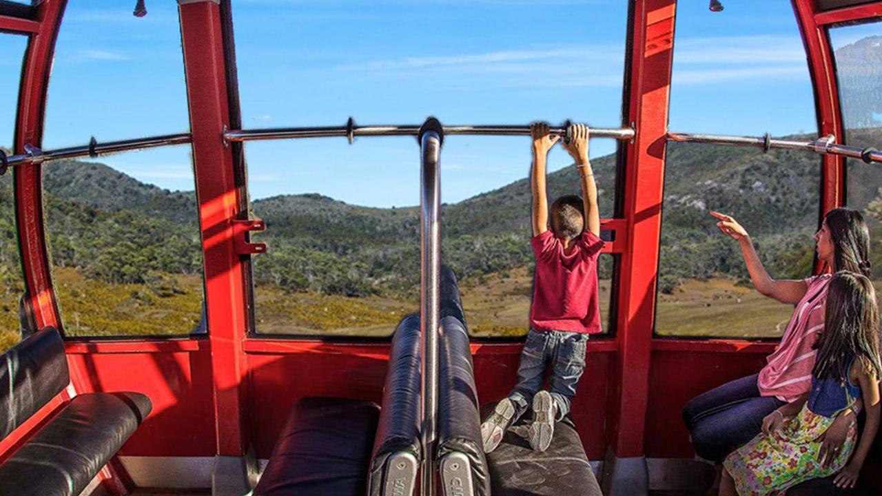 Artist impressions of Cradle Mountain Master Plan inside cable car. Picture: Cumulus Studio