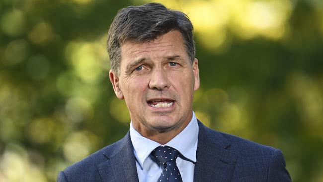 Shadow Treasurer Angus Taylor. Picture: NCA NewsWire/Martin Ollman