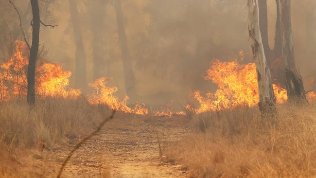 Fire on Halliford Road west of Dalby. Picture: Liam Kidston