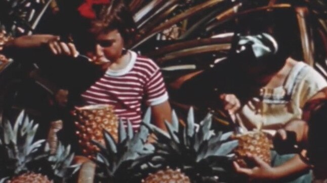 Flashbacks to the ‘Coral City in the Sun’ tourism advertisement for Mackay, 1958. Pictures: Queensland State Archives