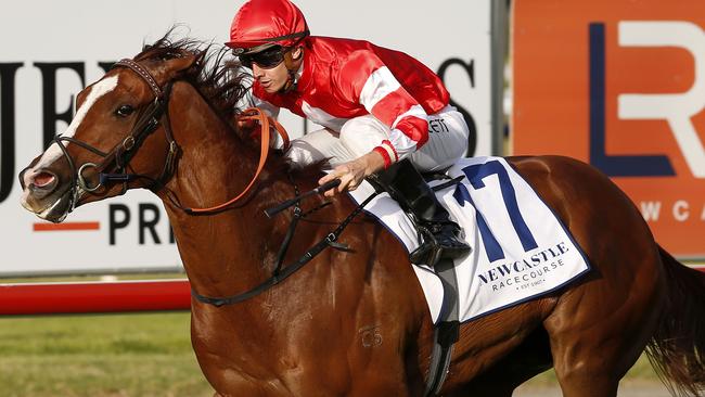 Burning Crown will be hard to beat again at Rosehill Gardens. Picture: AAP