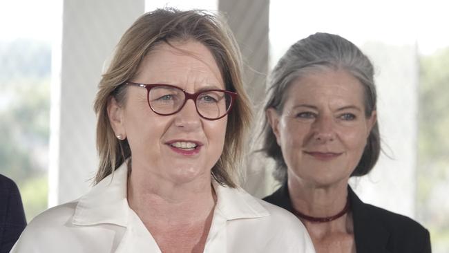 The state government failed to carry out “genuine engagement” as it ploughed ahead with its controversial planning overhaul, a state parliament report has found. Picture: Valeriu Campan