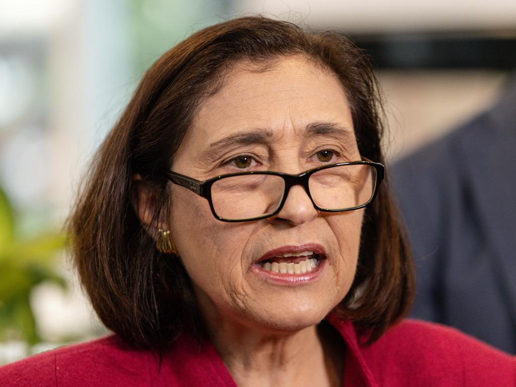 Lily D’Ambrosio delivered the sobering message that if the state doesn’t push ahead with suite of transmission projects there will not be enough power to run the state. Picture: NewsWire / Diego Fedele
