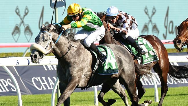 Chain Of Lightning will be sold at the end of this preparation but a trip to Royal Ascot looms. Picture: Jeremy Ng/Getty Images