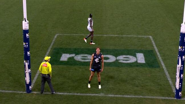 Curnow confirms the BLUES ARE BACK