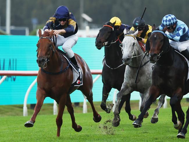 SYDNEY, AUSTRALIA - MAY 31: Jace McMurray riding  Edited By win Race 6 Ranvet during Sydney Racing at Rosehill Gardens on May 31, 2025 in Sydney, Australia. (Photo by Jeremy Ng/Getty Images)