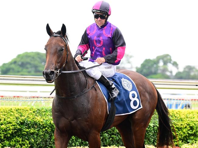 All Inclusive ridden by Ryan Maloney for David Vandyke wins the Tattersall's Life Members QTIS Jewel Prelude 2YO Colts and Geldings Plate over (1110m) at Doomben on February 24, 2024. Picture: Grant Peters/Trackside Photography