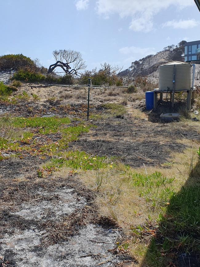 Dolphin Sands bushfire images show fire-retardant garden plants have broken up the spread of fire through grassy areas. In other examples adequate separation of properties from grassland and scrub has prevented homes from being impacted. Picture: Tasmania Fire Service