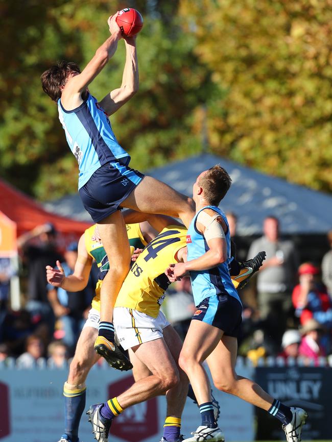 Hugo Munn takes a spectacular grab in round six. Picture: Tait Schmaal.