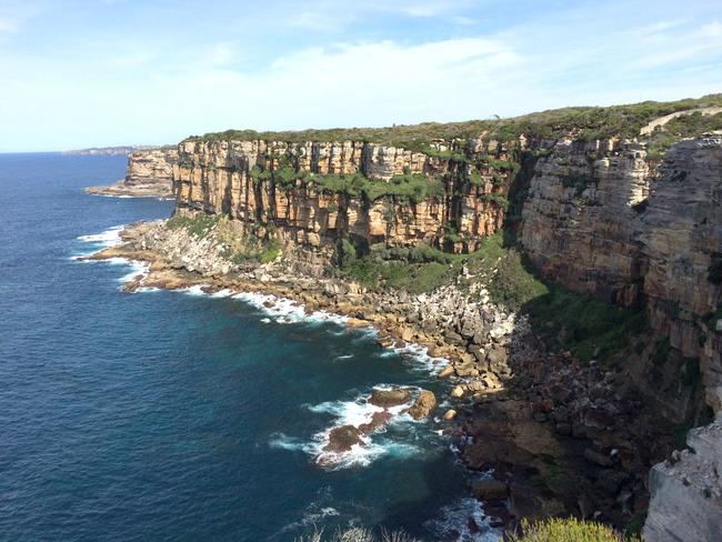 Part of the eastern face of North Head. Picture Manly Daily