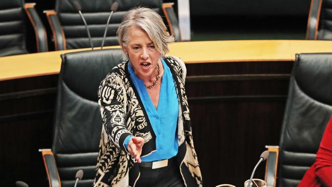 Greens MP Rosalie Woodruff. Picture: ZAK SIMMONDS