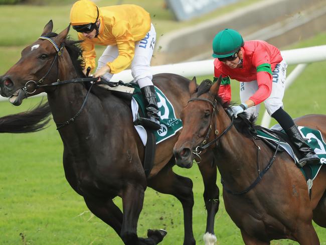 Daysee Doom (green/red silks) wins at Rosehill Gardens last month. Picture: Getty Images