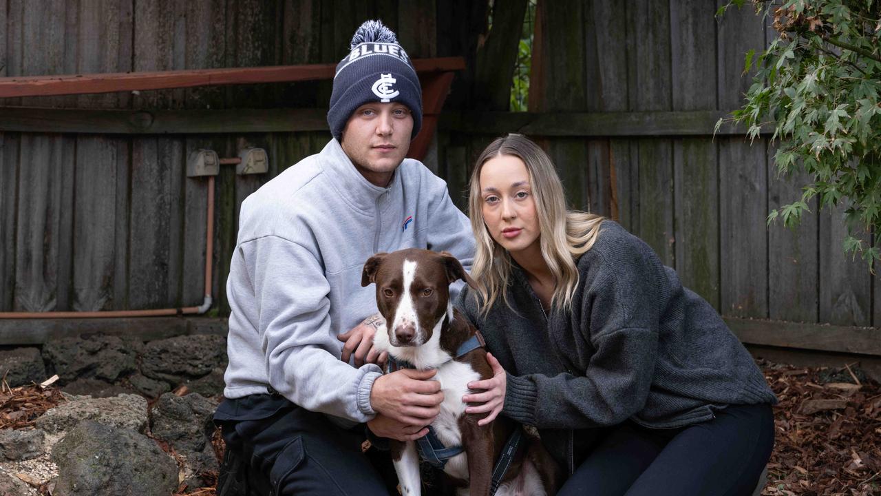 Couple traumatised after puppy ‘eaten’