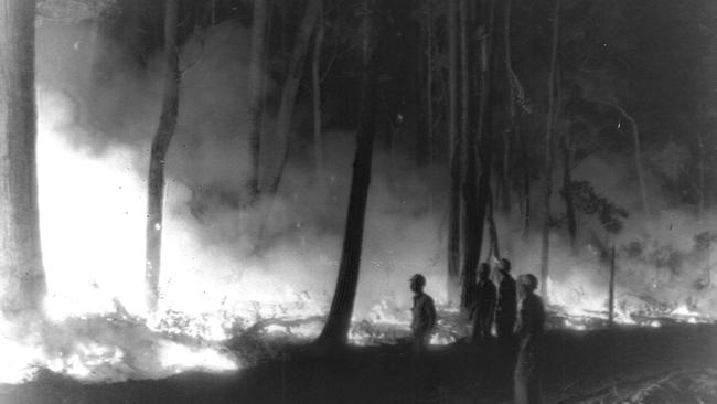 Forest Commission firefighters try to contain fires at Genoa, Melbourne on Ash Wednesday in 1983. File picture.