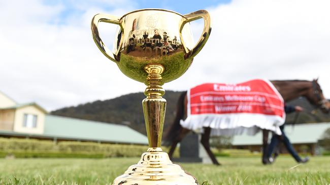 Melbourne Cup winner Almandin with the Melbourne Cup on Wednesday. Picture: AAP Image/Tracey Nearmy