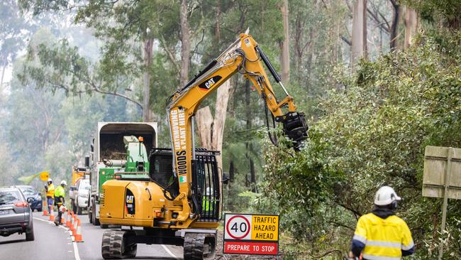 A June storm caused extensive damage including power outages that lasted weeks. Picture: Jason Edwards