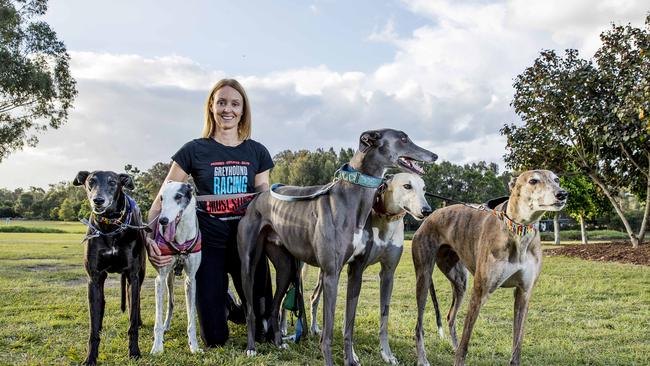 The Great Global greyhound walk is in its 10th year. Kristy Cooney. Picture: Jerad Williams