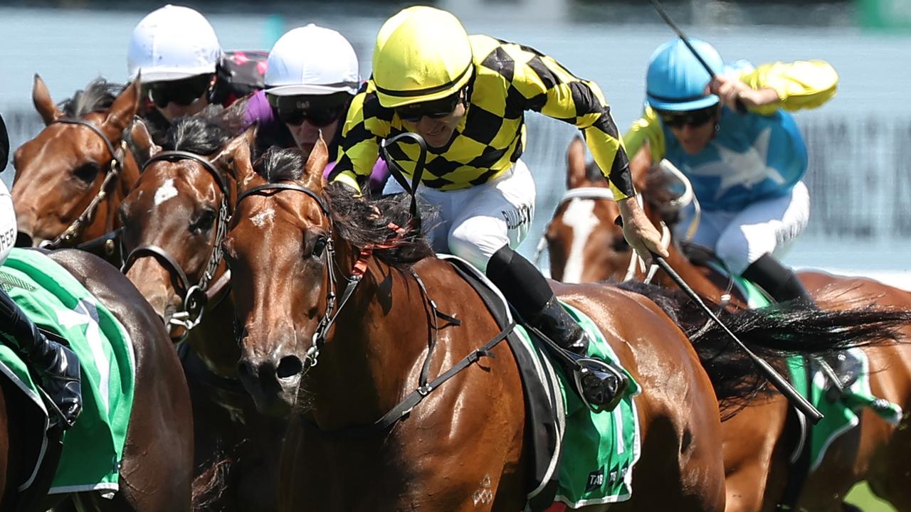 Scone Turf Talk: Our experts are Thinking there’s a Clear top pick