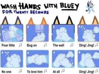 TV dog Bluey is helping kids wash their hands properly to the tune of Bluey's song Poor Little Bug On The Wall. If sung twice, the song lasts for 20 seconds, the recommended time to ensure your hands are ‘bug-free’.