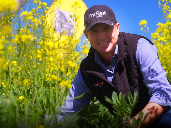 EP farmer celebrates success of first GM crop